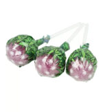 Cannabis Lollipops – 100% Hemp Oil, 0% THC