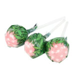 Cannabis Lollipops – 100% Hemp Oil, 0% THC - Image 3